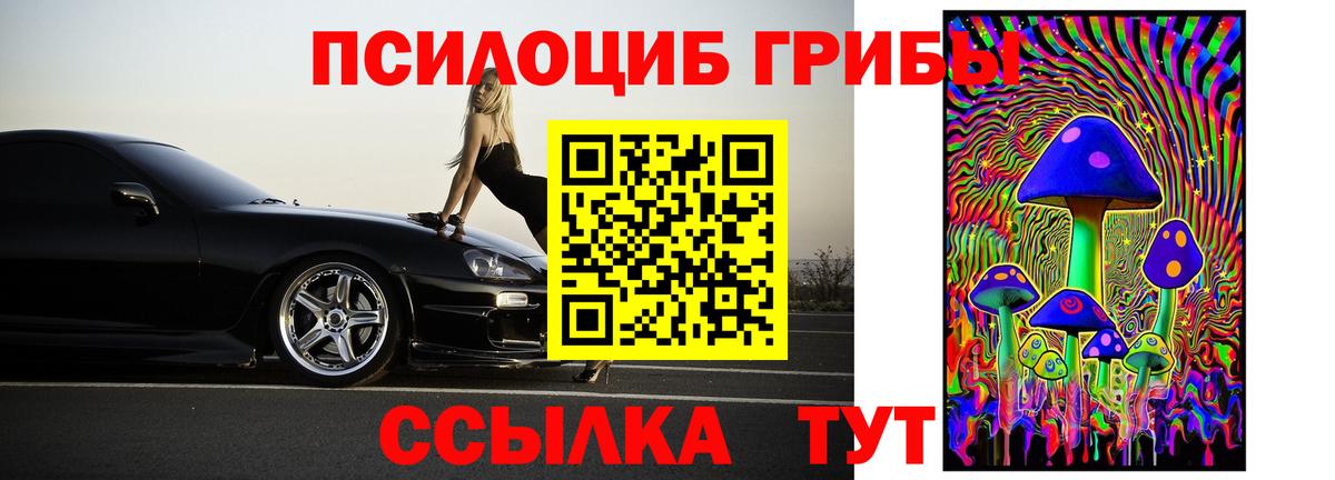 Медногорск  Псилоцибиновые грибы MAGIC MUSHROOMS  Вход с VPN  Псилоцибиновые грибы Psilocybine cubensis 